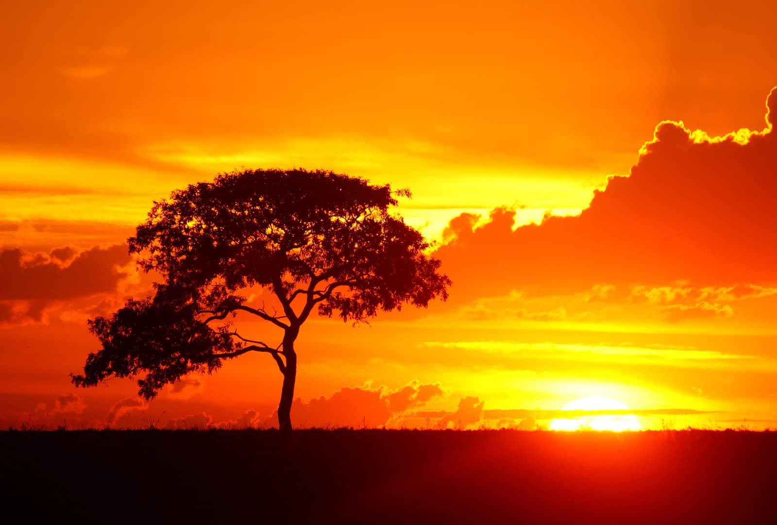 Public creative 1392471_37955830.jpg